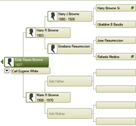 family tree