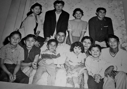 family tree