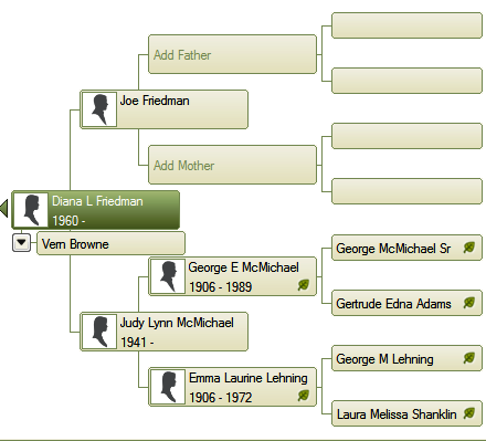 family tree